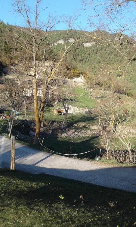 Casa Rural Mas Pujol Campdevánol Εξωτερικό φωτογραφία