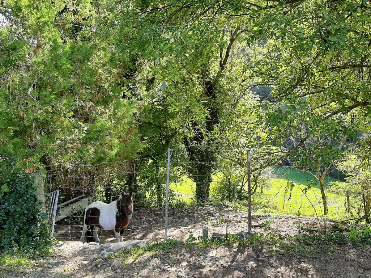 Casa Rural Mas Pujol Campdevánol Εξωτερικό φωτογραφία